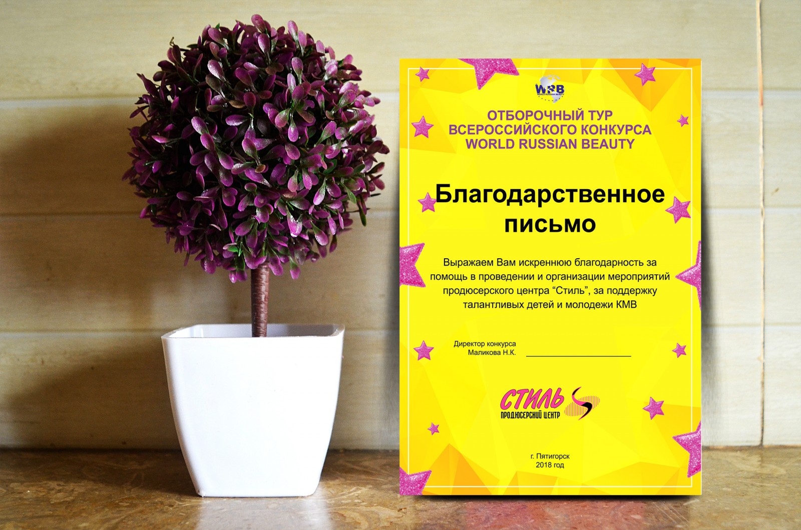 Всероссийского конкурса WRB Всероссийского конкурса WRB