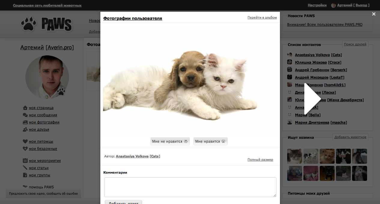 PAWS — Социальная сеть любителей животных PAWS — Социальная сеть любителей животных