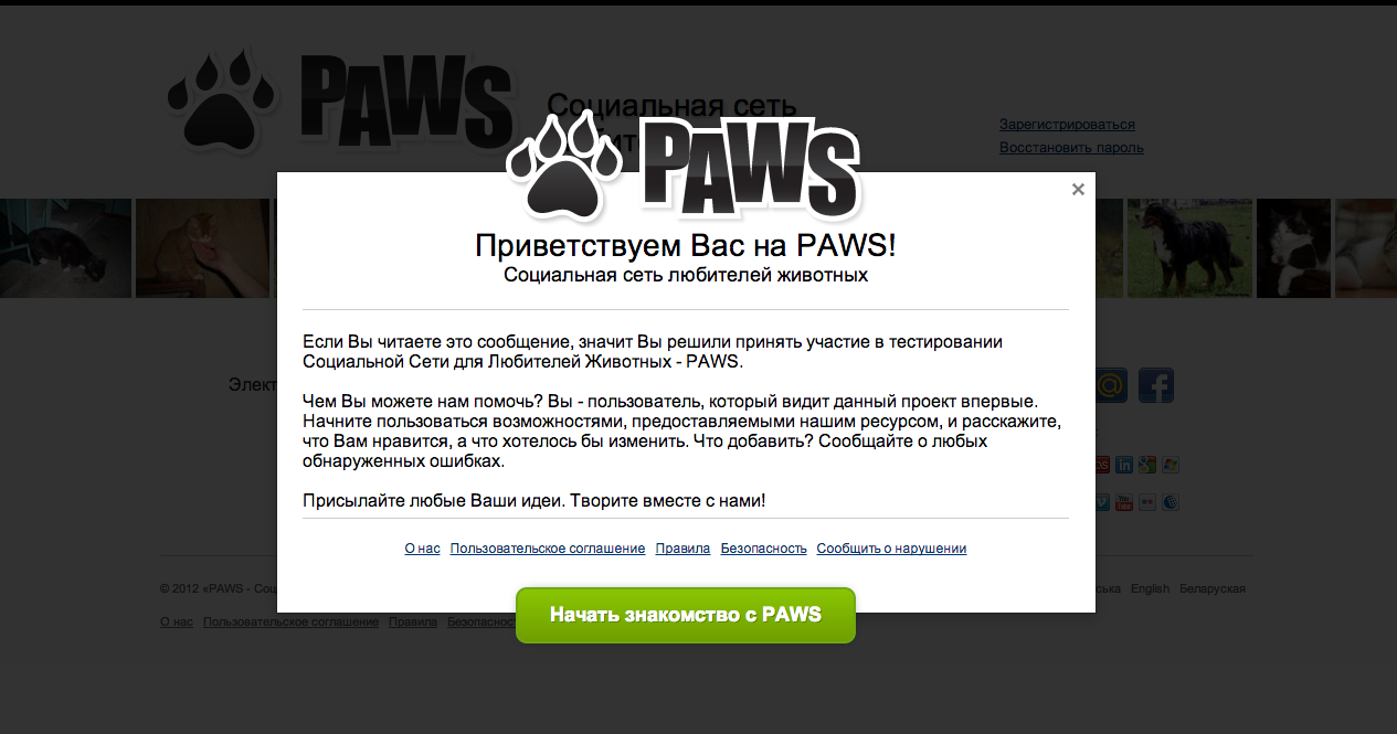 PAWS — Социальная сеть любителей животных